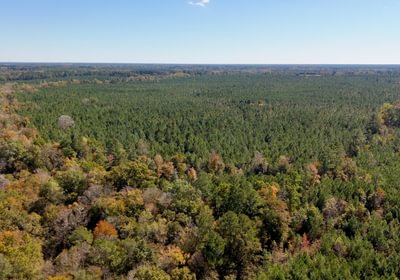 92 AFM Bladen 339 Photo 20