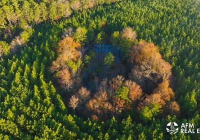 92 DJI 20250201074152 0027 V 2
