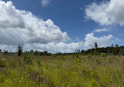 92 IMG 0278
