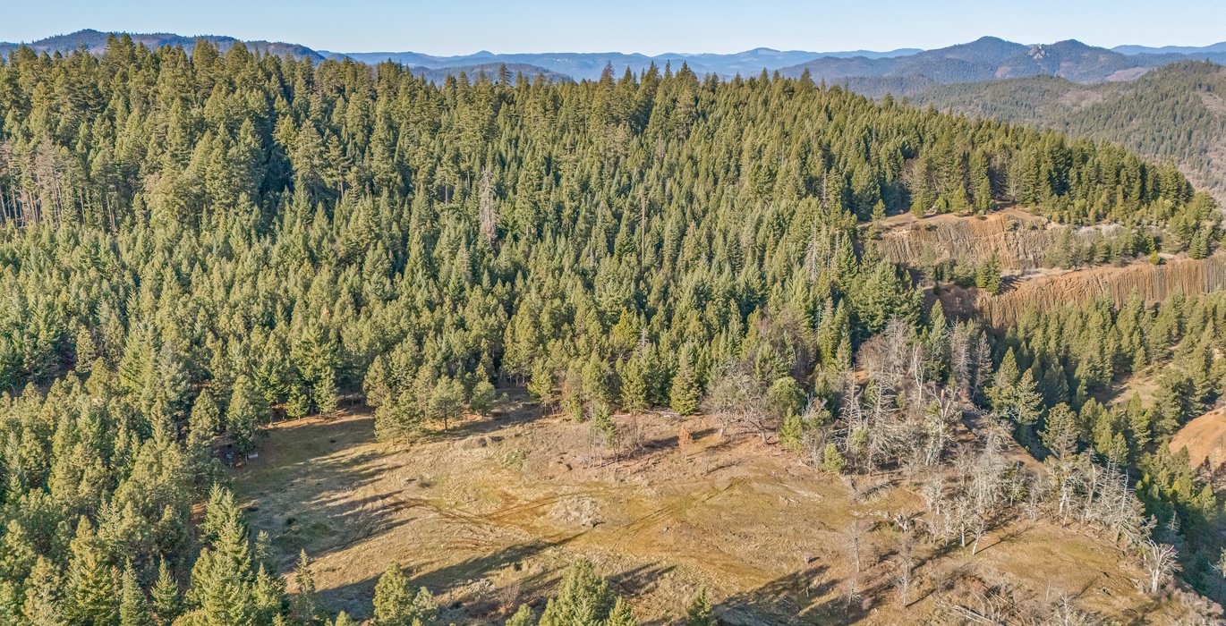 930 DJI 20260203095818 0049 D