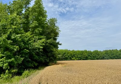 930 IMG 7527