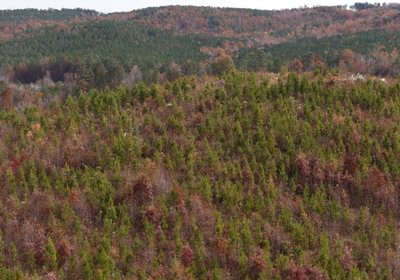 931 AFM Crump Farm Photo 23