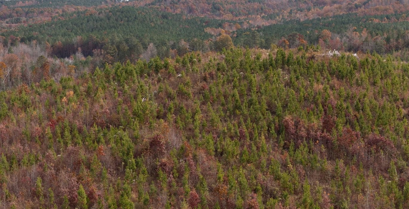 931 AFM Crump Farm Photo 23