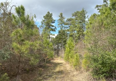 931 IMG 5518