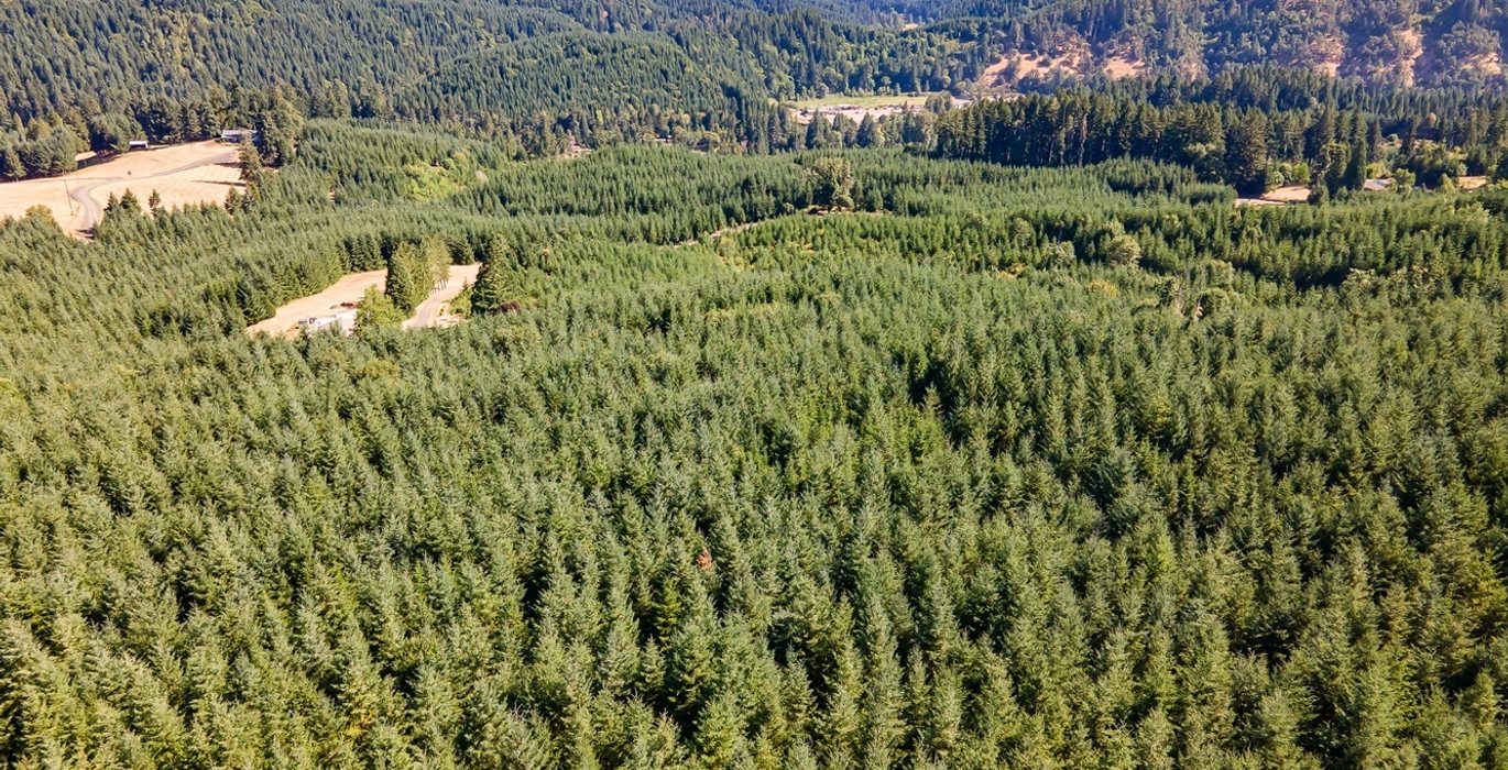 933 DJI 0077 HDR25