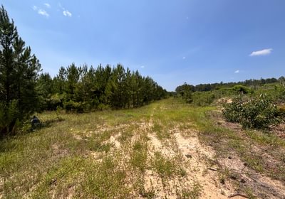 933 IMG 7323
