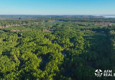 935 DJI 20250201080546 0028 V