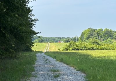 935 IMG 5130