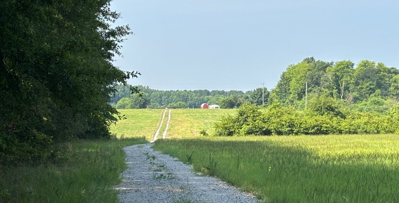 935 IMG 5130