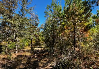 935 Wildlife areas