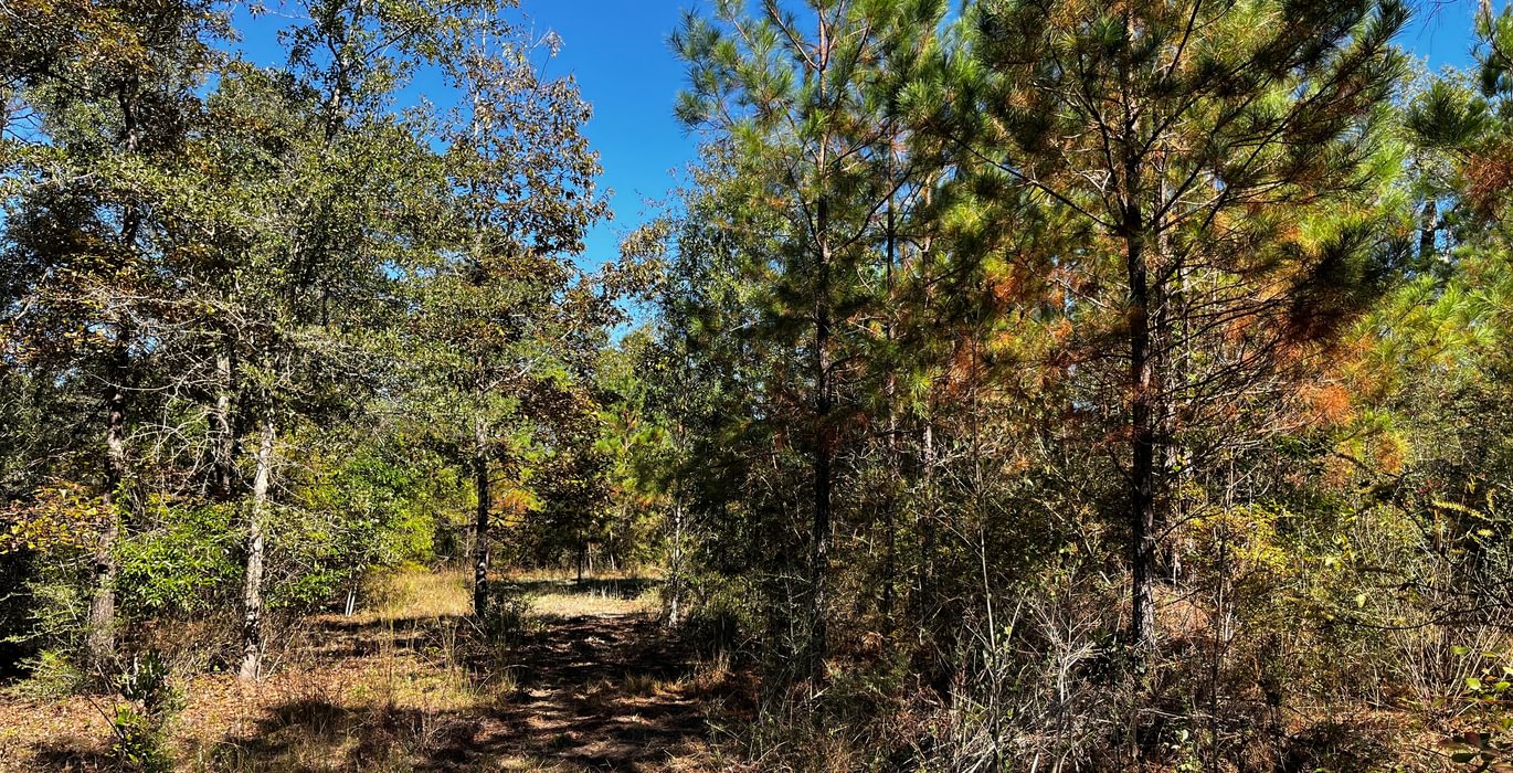 935 Wildlife areas