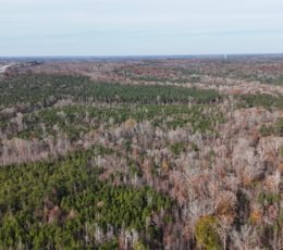 936 dji fly 20241204 142356 0039 1733367357819 photo