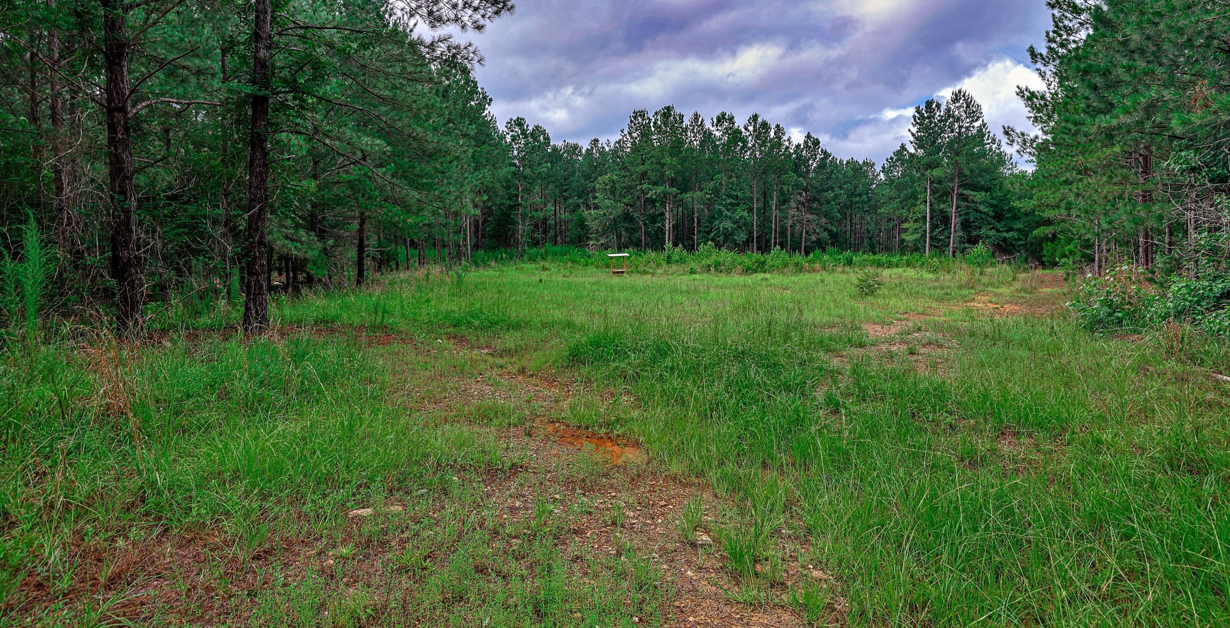 Photo 15 of Rush Creek Farms at Texas Chapel, 310.73 acres, Putnam County, Georgia