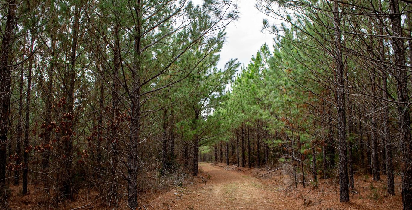 937 FORTLAWN IMG 6828