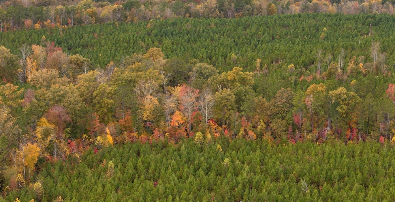 938 AFM Richmond 126 Tract Photo 6