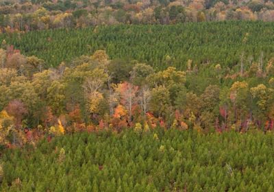 938 AFM Richmond 126 Tract Photo 6