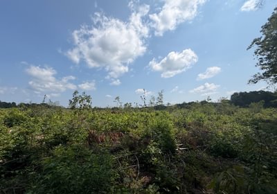 938 IMG 0083