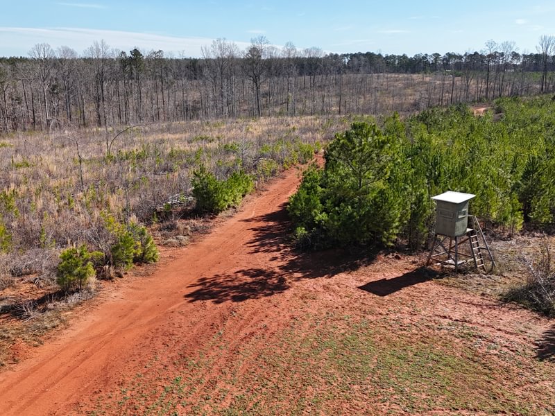 939 DJI 20250307100724 0044 D