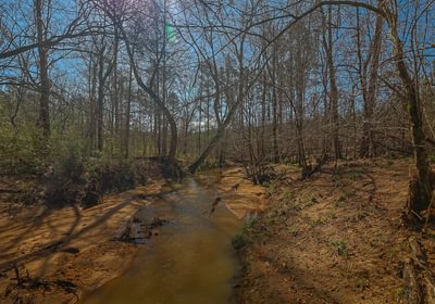 940 AFM Island Creek Farms 25