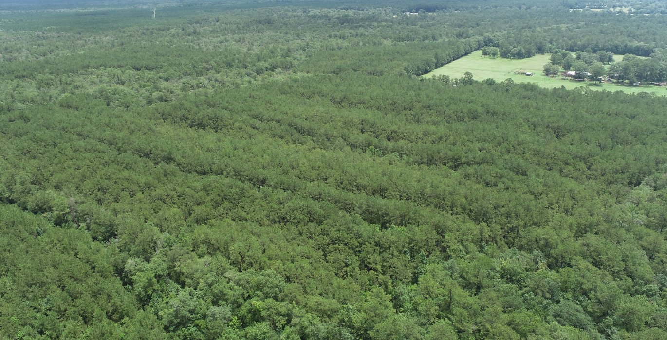 940 DJI 0002