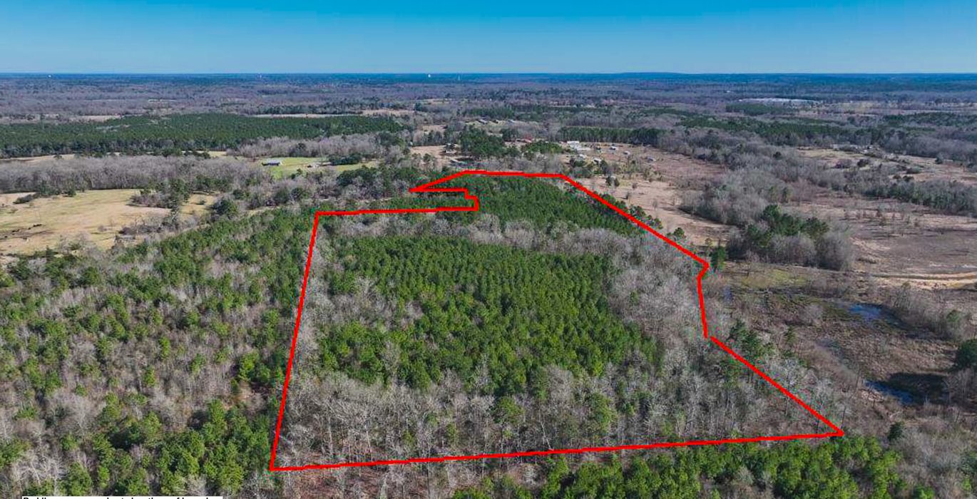 941 DJI 20250201142703 0011 V