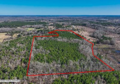 941 DJI 20250201142703 0011 V