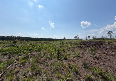 941 IMG 0234