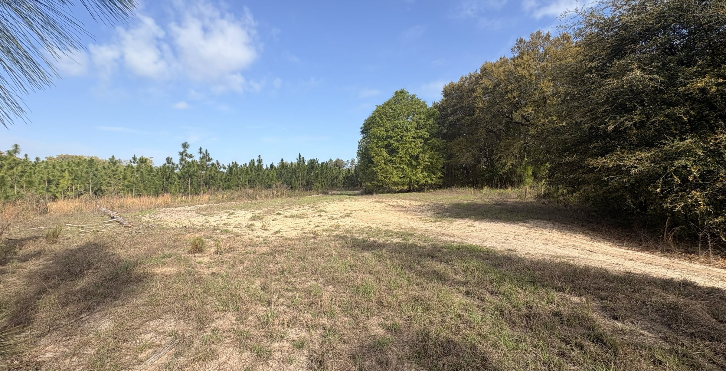 Photo 10 of Old Poor Robin Tract 1, 24.6 acres, Screven County, Georgia