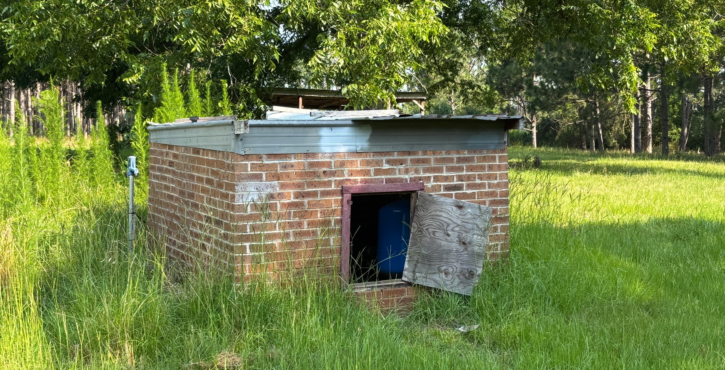 942 IMG 5112