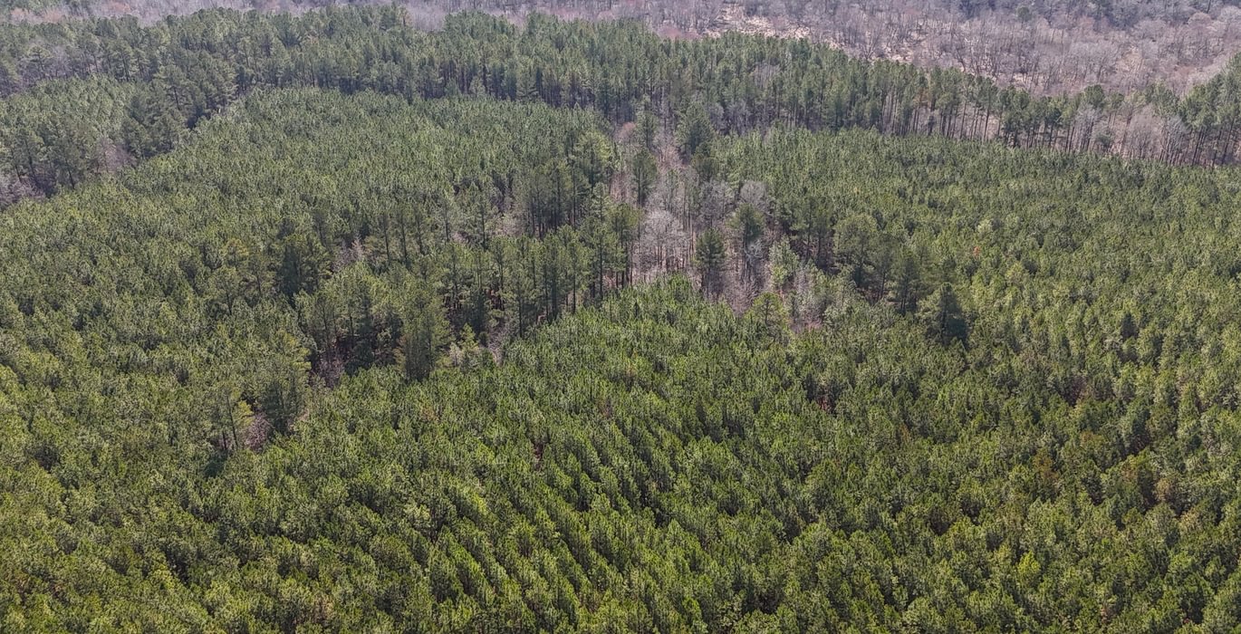 943 DJI 20250224105927 0009 D