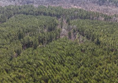 943 DJI 20250224105927 0009 D