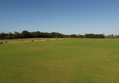 945 DJI 0237
