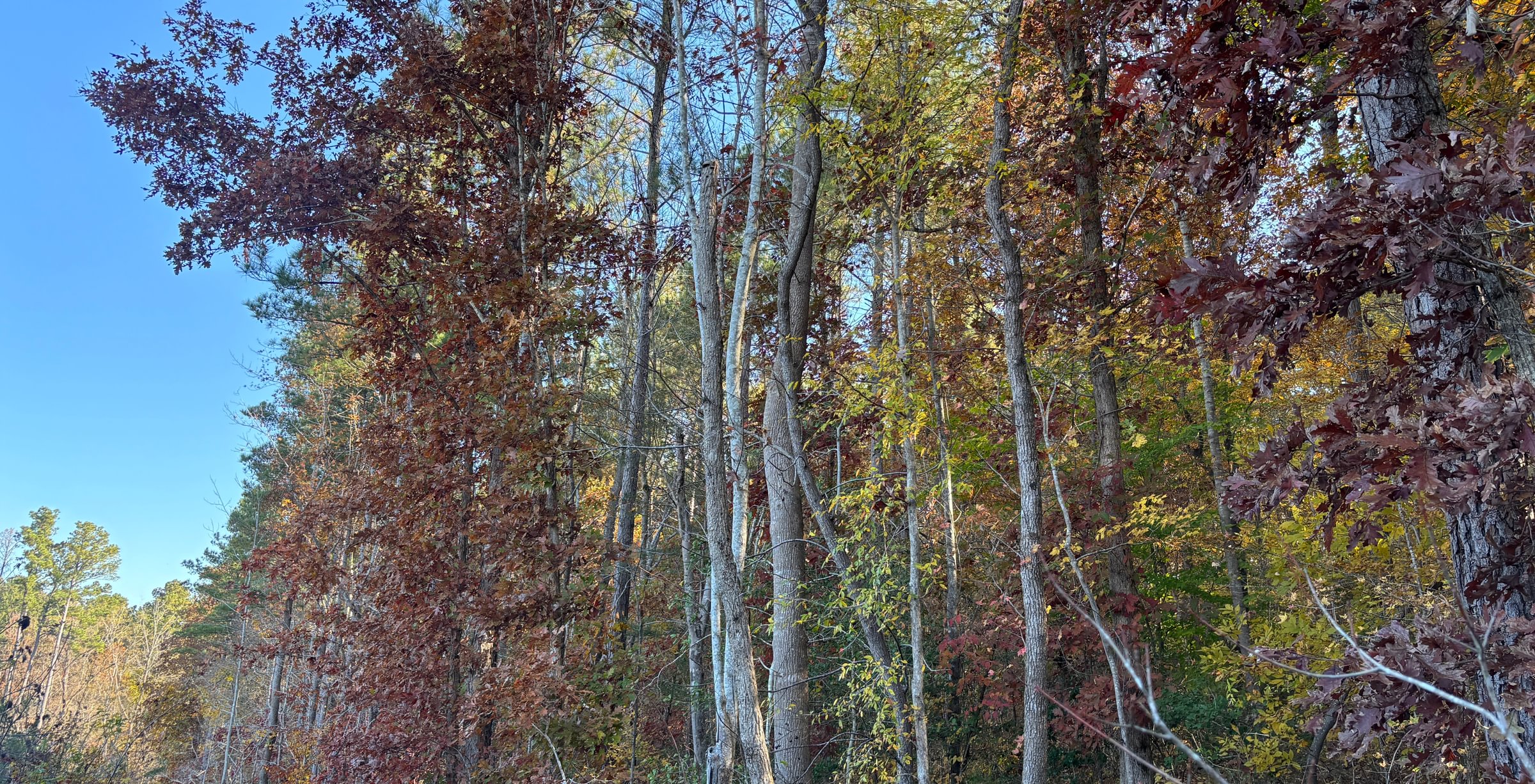 945 IMG 5800