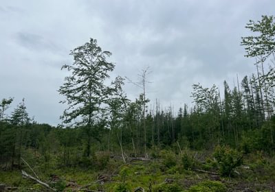 946 20260701 164234199 i OS