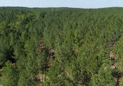 946 Cabin Creek Photo 33