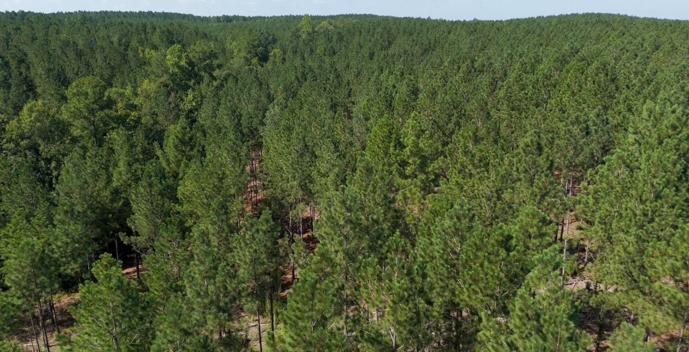 946 Cabin Creek Photo 33