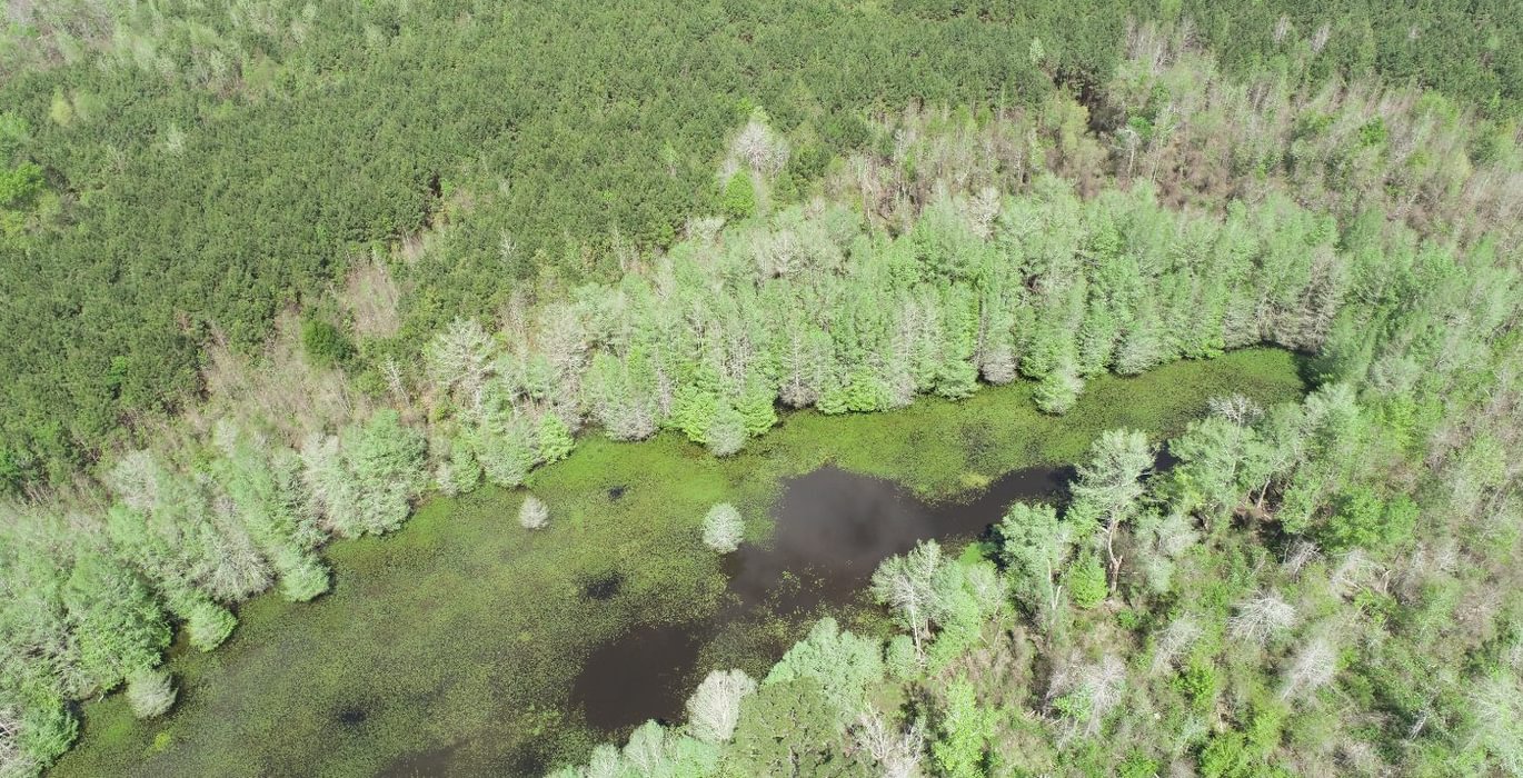 946 DJI 0412