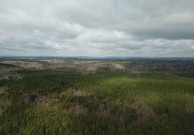 946 DJI 0030