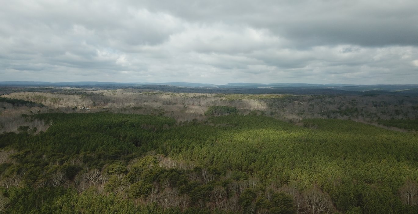 946 DJI 0030