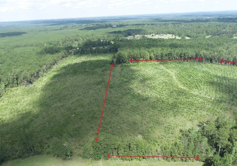 Photo 5 of Sturgis Mill T-17, 63 acres, Sabine County, Texas