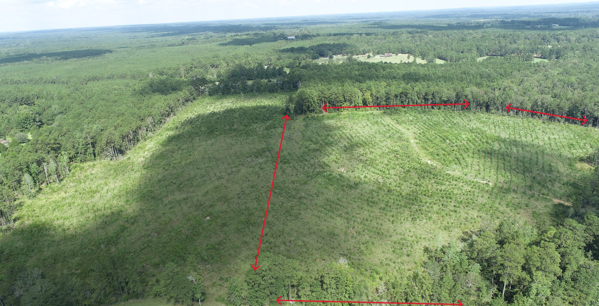 Photo 5 of Sturgis Mill T-17, 63 acres, Sabine County, Texas