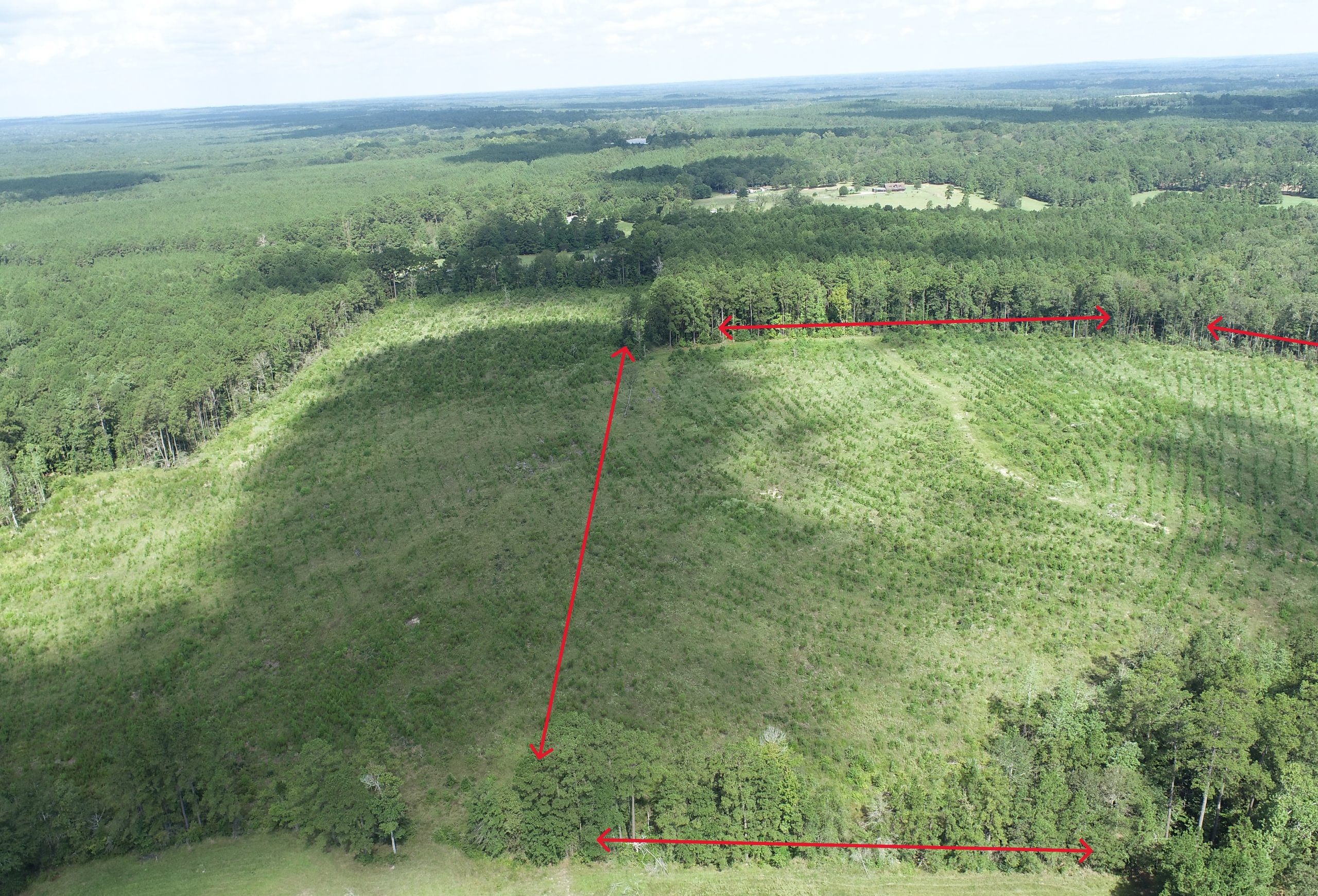 Photo 5 of Sturgis Mill T-17, 63 acres, Sabine County, Texas