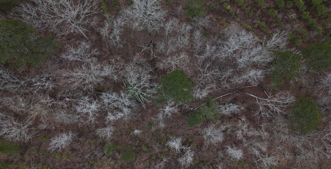 94 DJI 20260205154304 0010 D