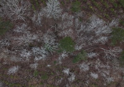 94 DJI 20260205154304 0010 D