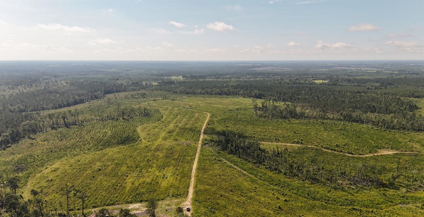950 DJI 20250613095248 0097 D