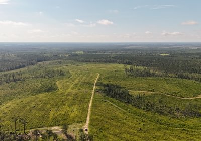 950 DJI 20250613095248 0097 D