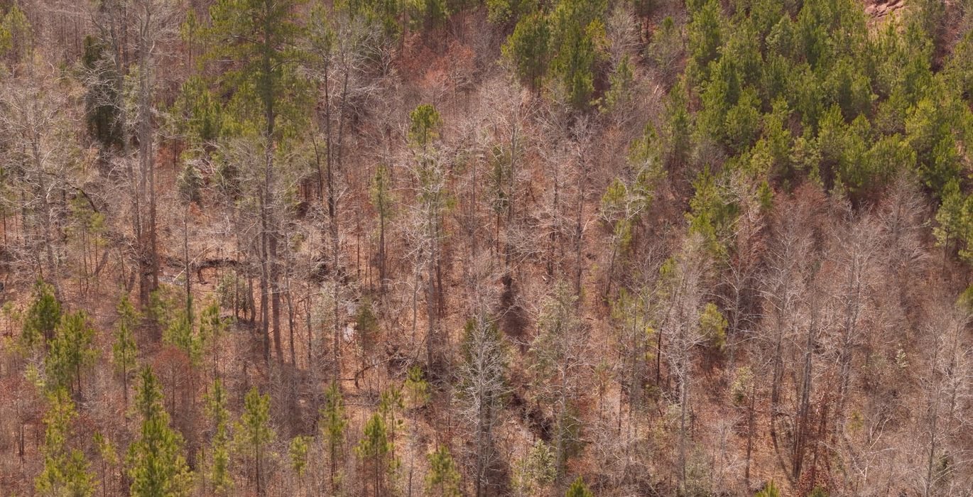 952 AFM Harrisville 68 Photo 6