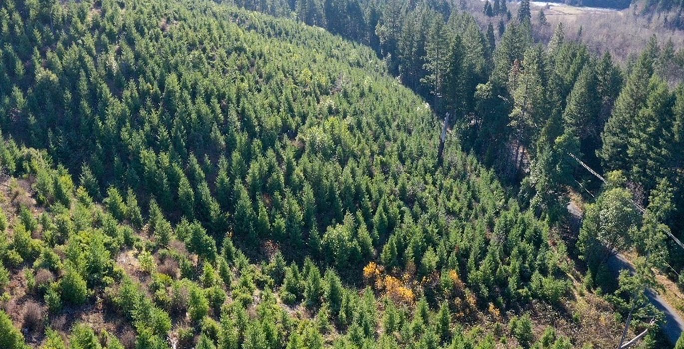 952 Photo Dec 04 2025 10 11 21 PM 22 1