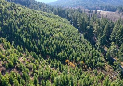 952 Photo Dec 04 2025 10 11 21 PM 22 1