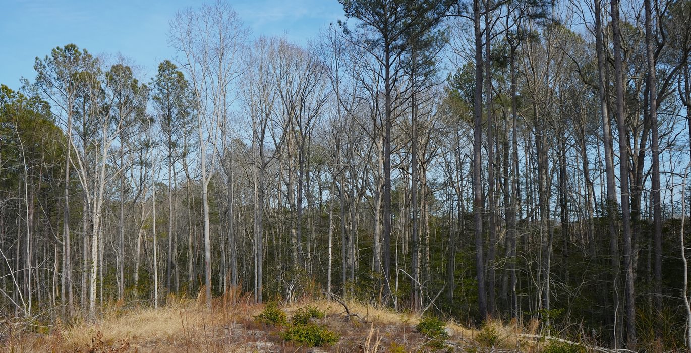 953 Church Hill pic2